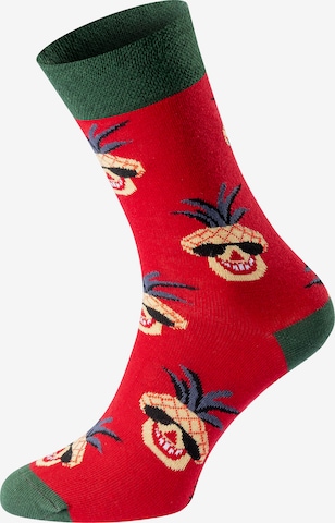 Chili Lifestyle Socks 'Banderole Leisure Socks' in Red: front