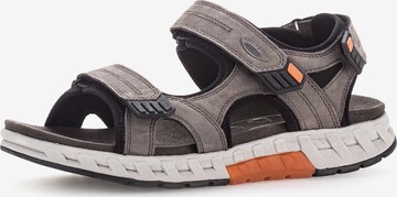 Pius Gabor Sandals in Grey: front