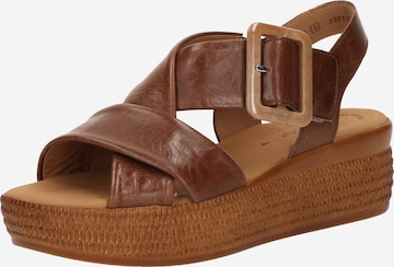 GABOR Strap Sandals in Brown: front