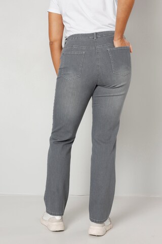 Dollywood Regular Jeans in Grau