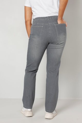Dollywood Regular Jeans in Grau