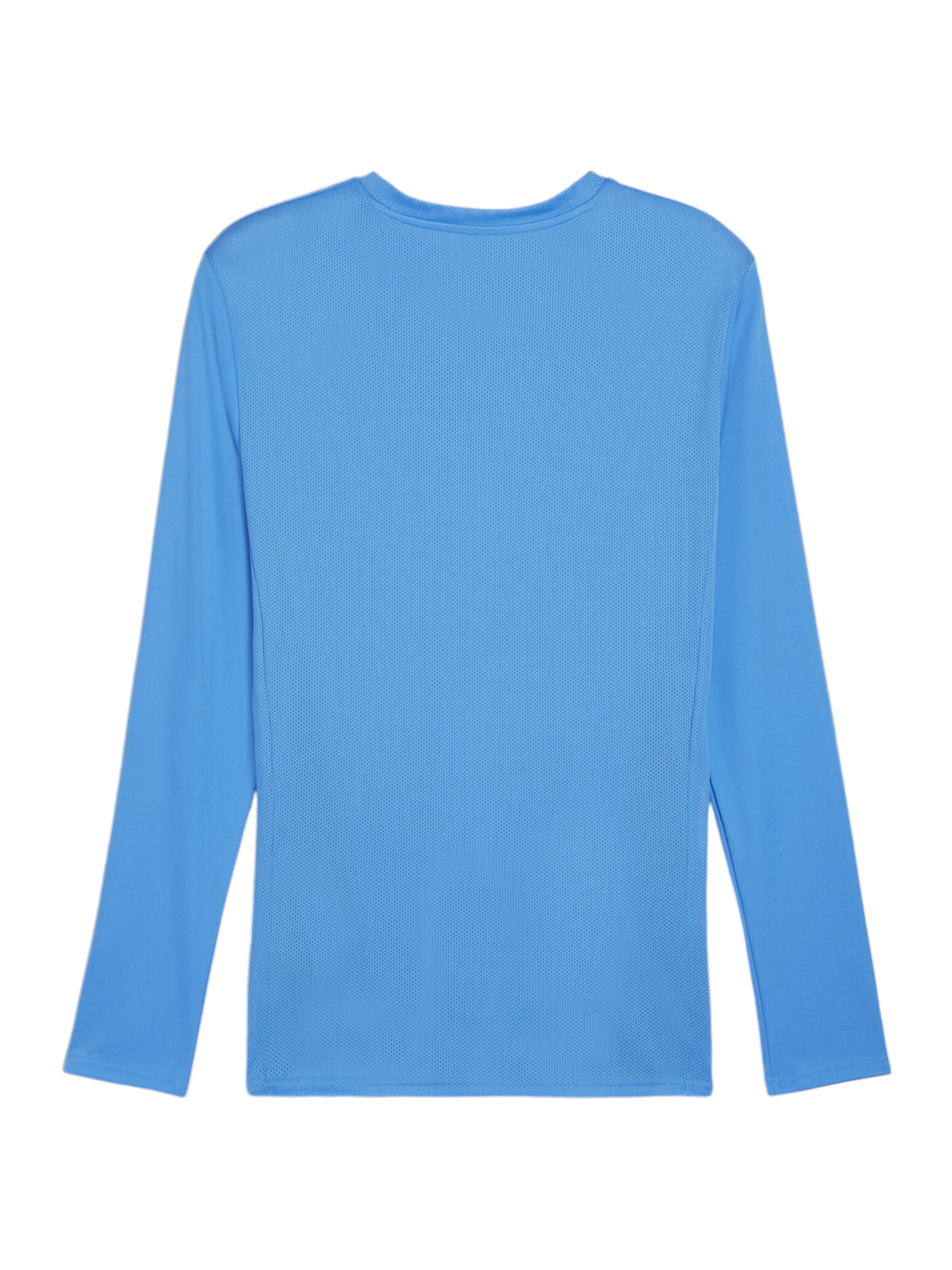 PUMA Funktionsshirt 'TeamGoal' in Blau
