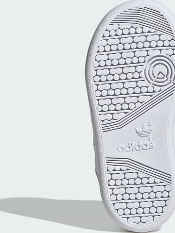 ADIDAS - Zapatillas deportivas 'adidas Team Court 2 Str Cf C' en blanco