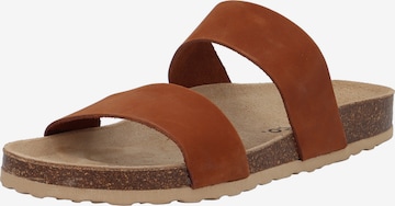 Bianco Mules 'Betricia' in Brown: front