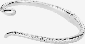 Apple of Eden Armband in Silber: predná strana