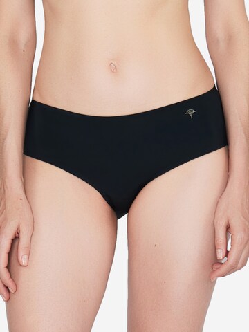 JOOP! Panty 'Sensation' in Mixed colours