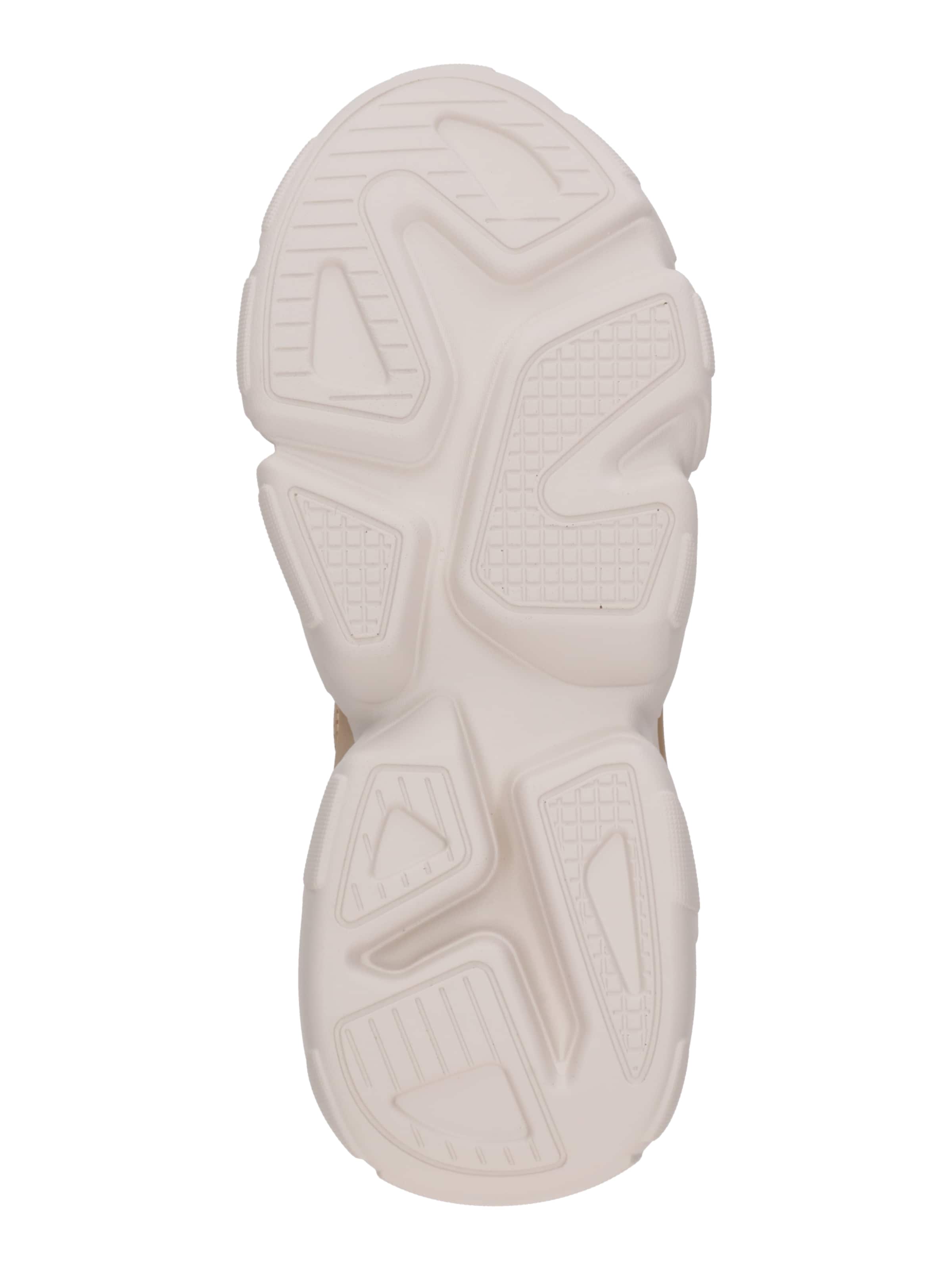 STEVE MADDEN Sneaker low 'SPECTATOR' i beige