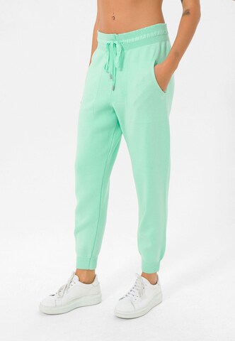 Tapered Pantaloni di Jimmy Sanders in verde