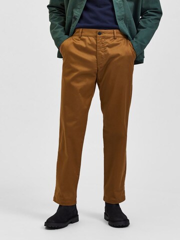 SELECTED HOMME Regular Chino Pants 'STOKE' in Brown: front