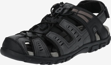 GEOX Sandals in Black: front