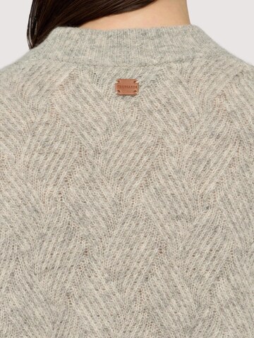 Trussardi Trui in Grijs