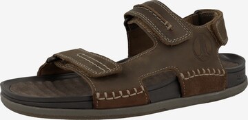 CLARKS Hiking Sandals 'Nature 5' in Brown: front