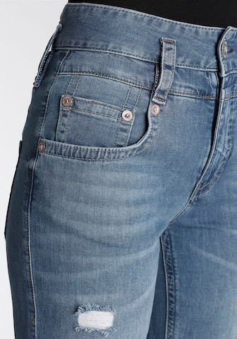 Herrlicher Regular Jeans in Blau