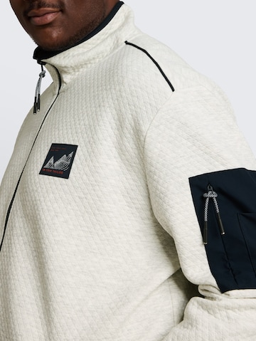 TOM TAILOR Men + Sweatvest in Beige