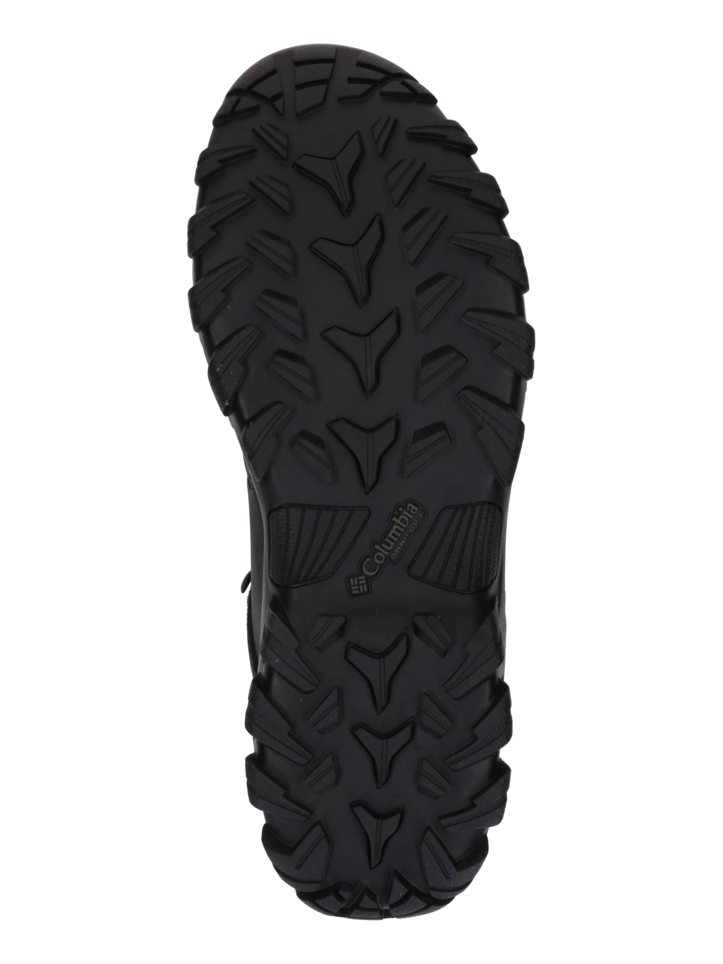 COLUMBIA Boots 'NEWTON RIDGE PLUS II' in Zwart