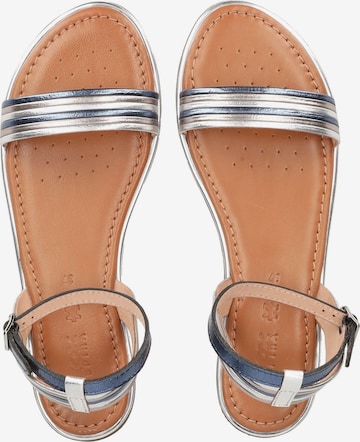 GEOX Sandalen met riem in Blauw