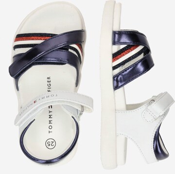 TOMMY HILFIGER Sandali | mešane barve barva