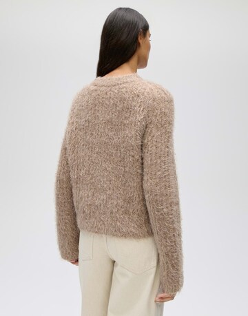 Pull-over 'Pontes' OPUS en marron