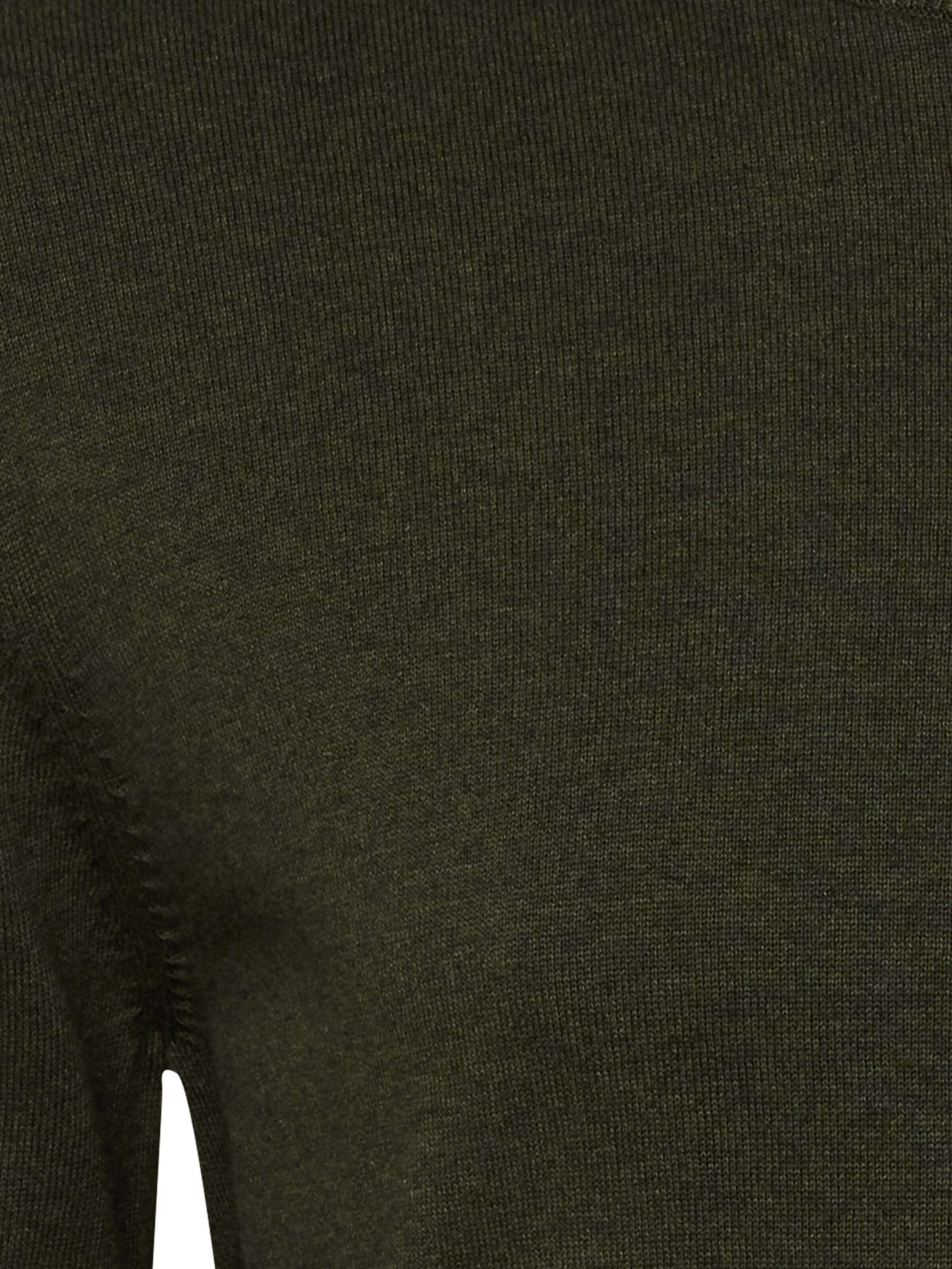 s.Oliver Men Big Sizes Pullover in Grün