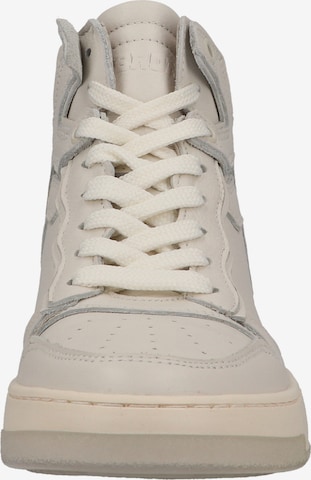 BRONX High-Top Sneakers in Beige