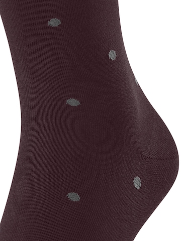 FALKE Socks 'Dot' in Red
