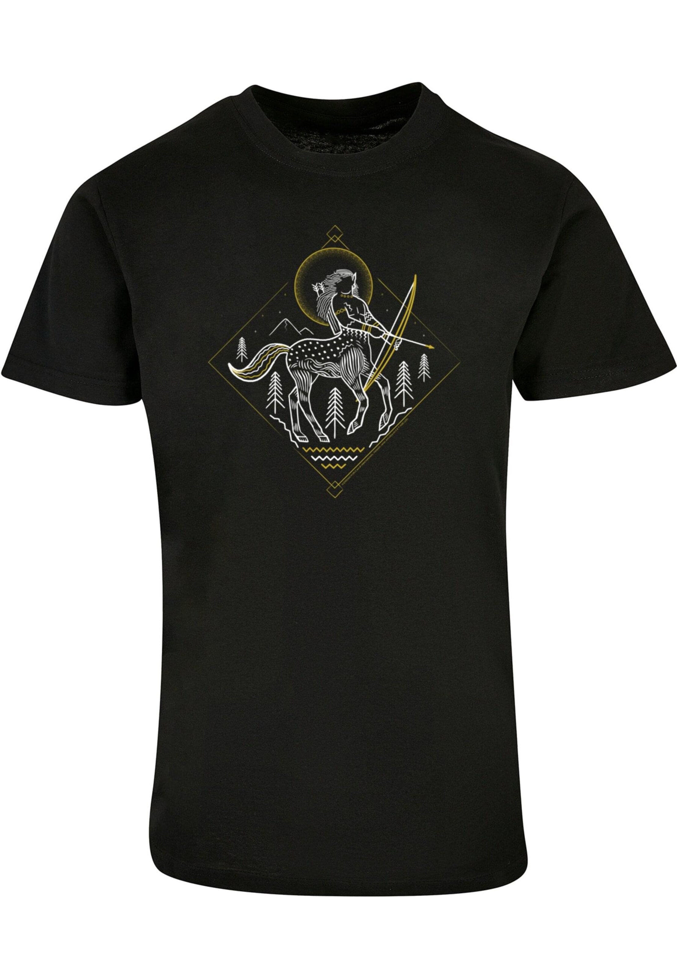 ABSOLUTE CULT Shirt 'Harry Potter - Centaur' in Zwart: voorkant