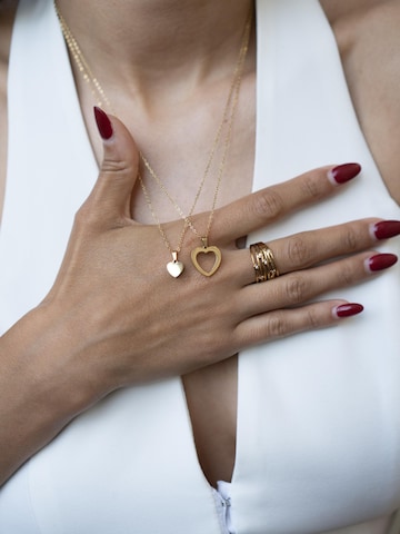 Hey Happiness Ketting 'Connected Mother and Daughter Heart' in Goud
