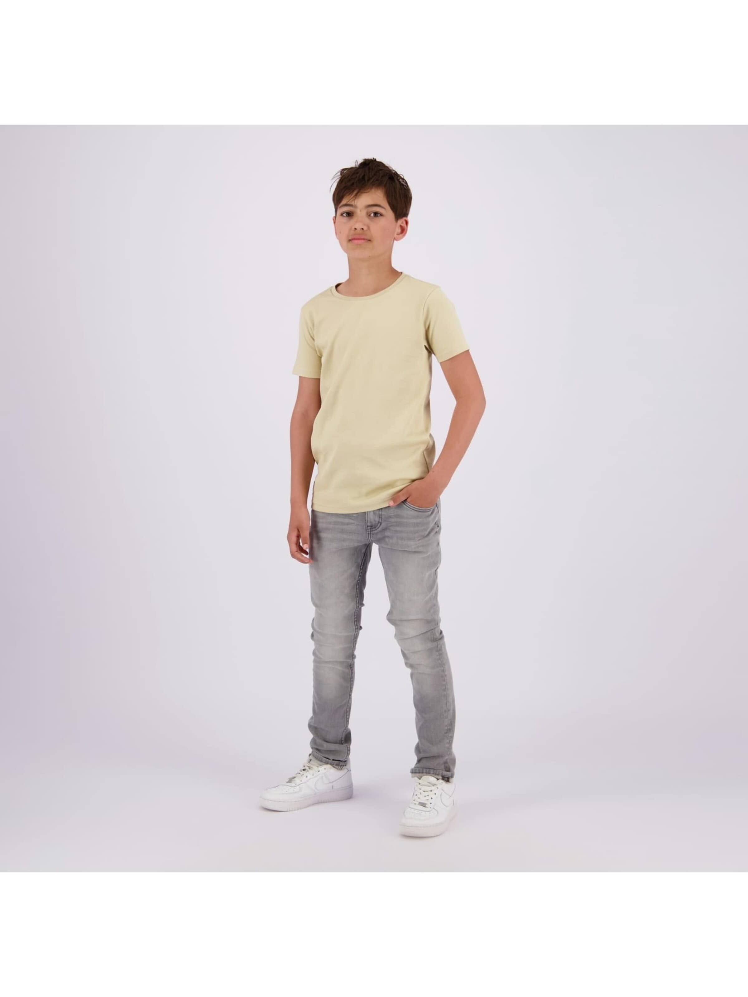 Raizzed Baggy Jeans 'Boston' in Grey
