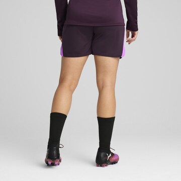 PUMA Regular Sportshorts in Lila