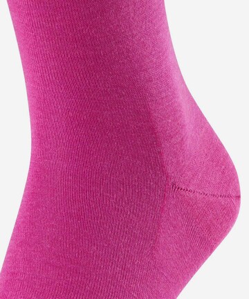 FALKE Socken in Pink