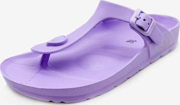 thies T-Bar Sandals 'thies 1856 ® Ecofoam Thong Sandal vegan' in Purple: front