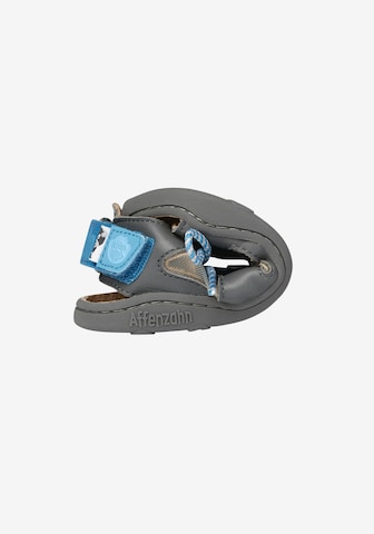 Affenzahn Sandals 'HUND' in Grey