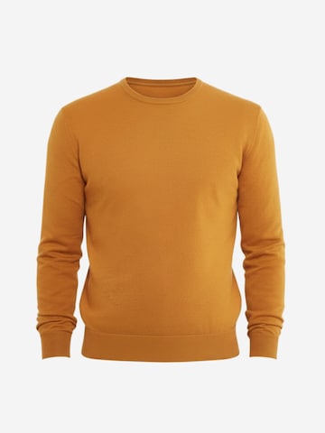 Il Lanificio Pullover‌‌‌‌‌ in Gelb: Vorderseite