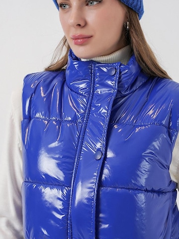 Gilet Bigdart en bleu