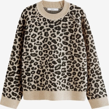 Next Pulover | mešane barve barva: sprednja stran