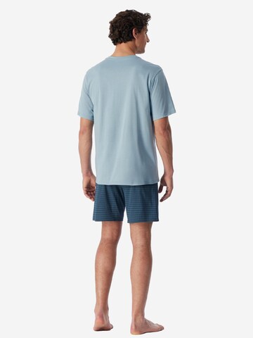 SCHIESSER Pyjama kurz 'Comfort Essentials' in Blau