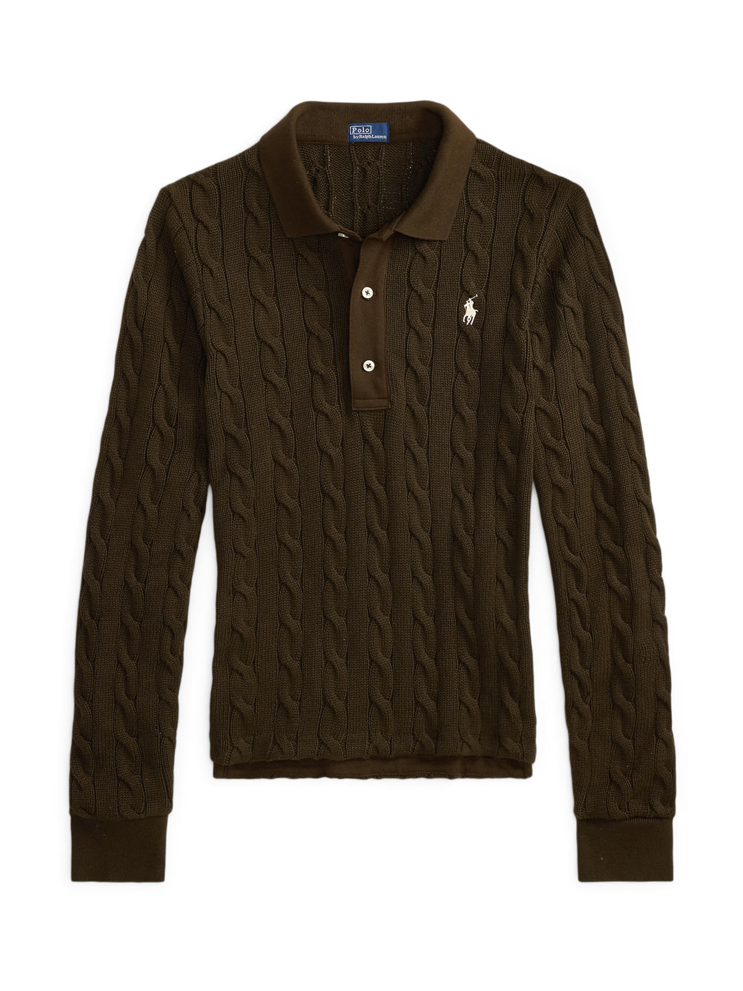 Polo Ralph Lauren Sweater in Brown: front