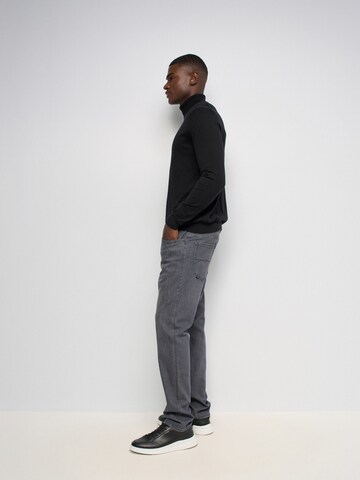Salsa Jeans Regular Jeans in Grijs