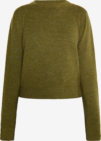 usha FESTIVAL Pullover 'Rakata' in Grün: Vorderseite