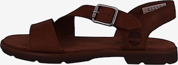 TIMBERLAND Sandale in Braun: Vorderseite