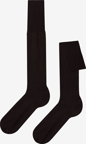 CALZEDONIA Lange Socken in Braun: predná strana