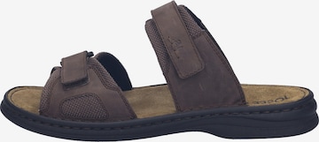 JOSEF SEIBEL Sandal 'MAX 75' in Brown: front