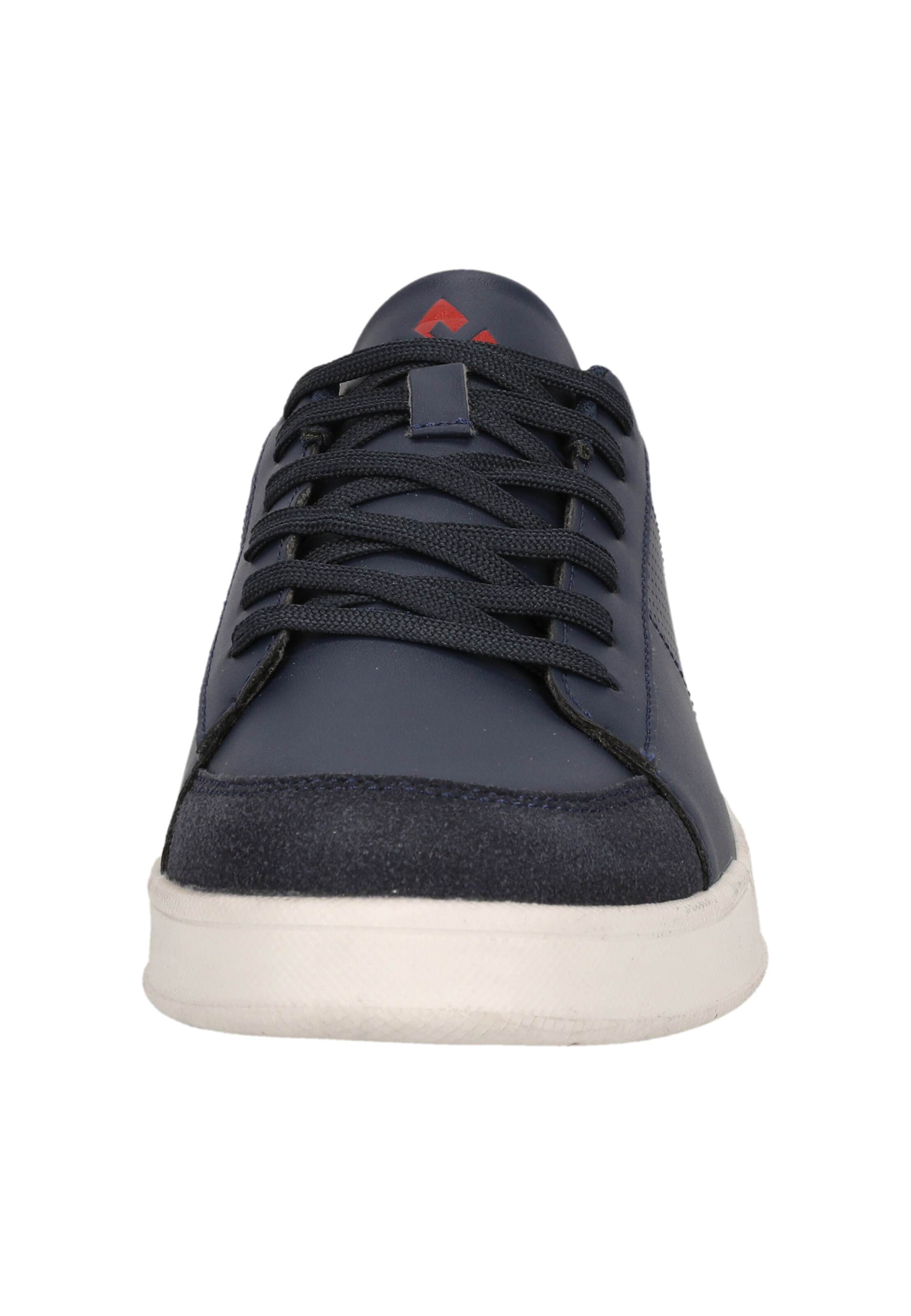 Whistler Sneakers in Blue