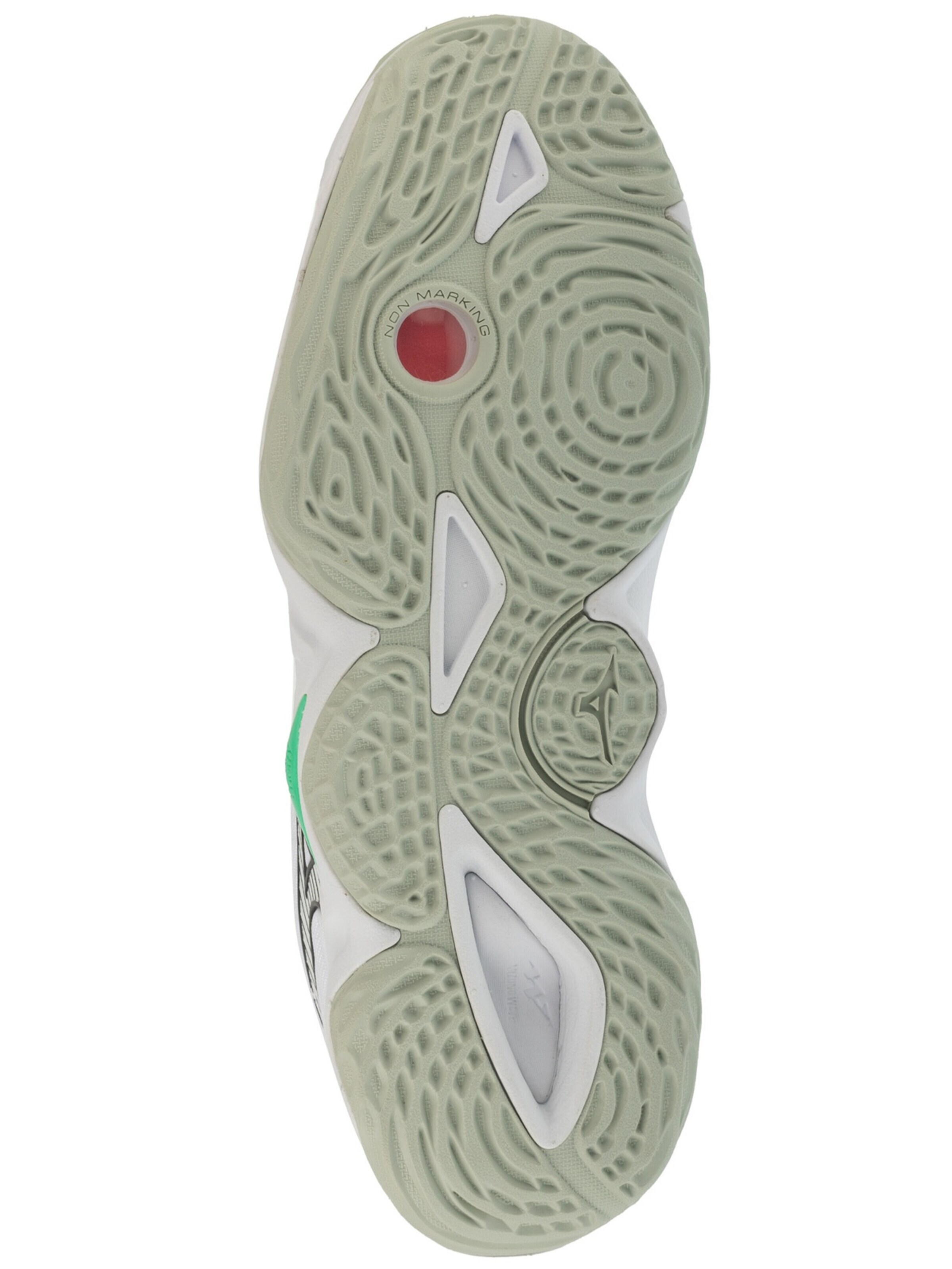 MIZUNO Sportschuh 'Mizuno Wave Momentum Pro'‌‌‌‌‌‌ in Weiß