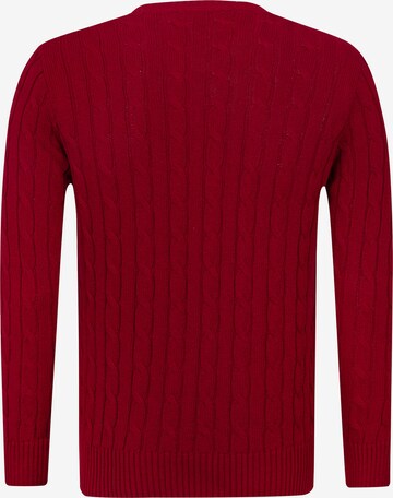 DENIM CULTURE Sweter 'Jeffrey' w kolorze czerwony