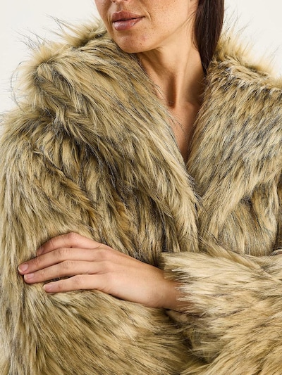 Bianco Lucci Veste d’hiver en cappuccino, Vue avec produit