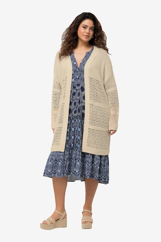 Ulla Popken Knit Cardigan in Beige