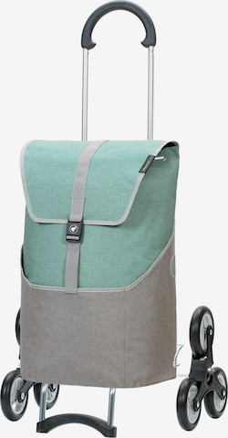 Andersen Shopper Cart 'Vigo' in Green: front