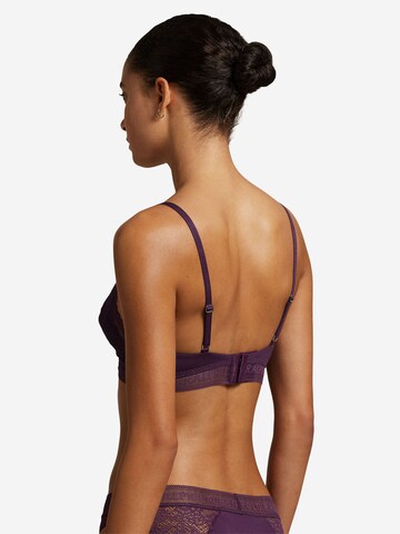 Polo Ralph Lauren Triangel BH 'Love Collection' in Lila