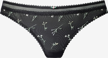 VIVANCE Stringit värissä musta: etupuoli